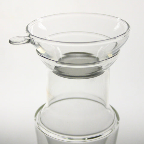 Fine filter glass infuser